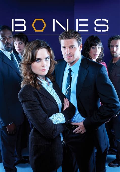 bones online latino temporada 1|bones temporada 3.